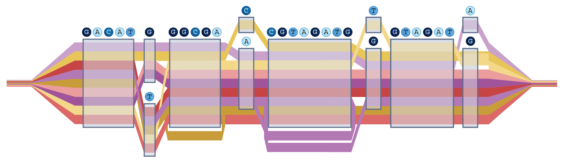 Genome illustration